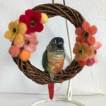 ウロコインコとお花のリース♪ 羊毛フェルト