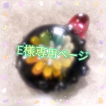 E様専用ページ