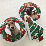 うちの子クッション☆クリスマス