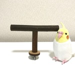 【rriiccaa12様オーダー】T型パーチ×3