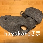 ❇︎hayakareさま❇︎フード付きハーネス〈ウールツィード〉