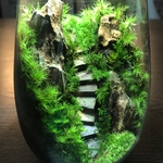 苔テラリウム　LEDライト蓋付き　気孔石