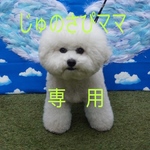 じゅのさぴママさん専用ページ