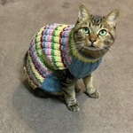 ネコちゃん用ウール100%セーター