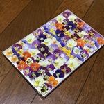 お花屋さんが作った本日のドライフラワーはビオラです！ ②