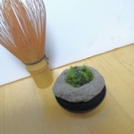 ミニ苔盆栽　軽石1　送料無料