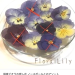 【ゆみこ様専用ページ】ビオラグラデーションのセット