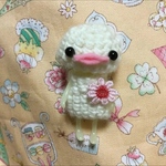フォーチュンワンダ アヒルさんになりたい子