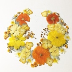 押し花素材　材料　426