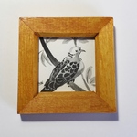 墨絵ミニ原画「キジバト」