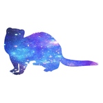 フェレット  ステッカー（space）