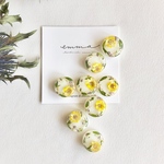 Kranz🌼ピアス/イヤリング