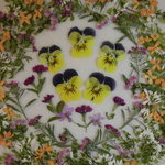 押し花 素材 ビオラと金木犀のリース　💐