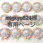 migkyu824様＊専用ページ