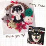 kumatta9様専用♡クリスマスわんこ『うちの子オーダー』 (mii wool&wool)