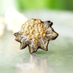 【再販】陶器風  花ブローチ 金と白 イソギク