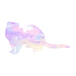 フェレット  ステッカー（dream）