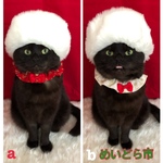 再入荷！クリスマスシュシュ、猫ちゃんの首輪