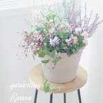 ꫛꫀꪝ✧‧˚ビオラとカルーナの優しい寄せ植えﾟ･*:.｡❁pink