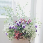 ꫛꫀꪝ✧‧˚寄せ植え❁*。プレゼントにも最適\❤︎/