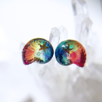 【nanoアンモナイト 永遠の虹】両耳ピアス