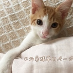 [お客様専用ページ]