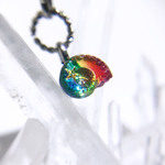 【nanoアンモナイト 永遠の虹】チャーム