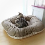 【受注製作】大きめサイズ　ペットのふかふかクッション　リバーシブルパターン　キナリ×モカベージュ