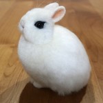 ドワーフホトのうさぎさん   羊毛フェルト 