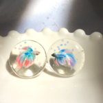 小さな水槽のピアス≪ベタ≫