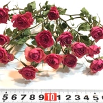 ピンク薔薇 ドライフラワー  ミニ