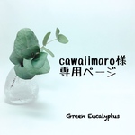 オーダー専用ページ　cawaiimaro様　
