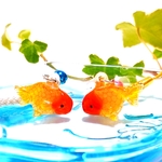 金魚ピアス♥️【ランチュウ】