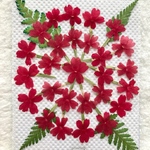 ハナテマリ押し花②