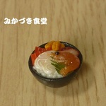 ミニミニ小丼（１４）