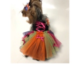 犬服オーダー　★ハロウィンカラフルワンピース★