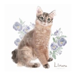 猫と花イラストアート・作成