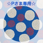 ☆Pさま専用☆