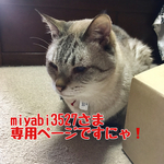 miyabi3527さま　専用ページ