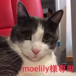 moelily様専用