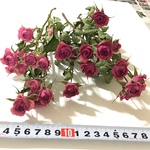 ピンク薔薇 ドライフラワー    ミニ
