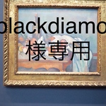 blackdiamon様専用