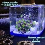 steam garden〜気象研究所〜