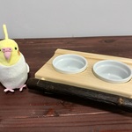 【いろは🕊様オーダー】檜のごはんテーブル（M）