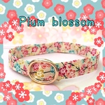 plum blossom＊迷子札付＊軽い首輪