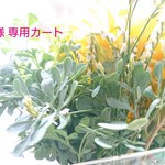 ☆K様 専用カート☆ 
