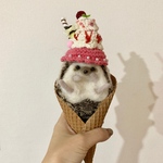 Lサイズアイス帽子、小動物用帽子