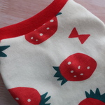 【3S】ワンダフク☆ドッグウエア～お試し価格・苺赤