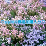 +♡pipi1012様専用・追加購入分♡+