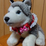 ＱTシュシュ(クリスマス🎄赤)